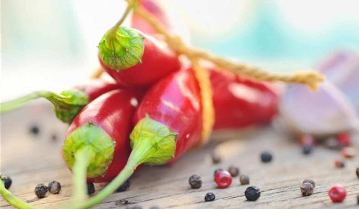 L'Accademia del Peperoncino sceglie Sprayleggero